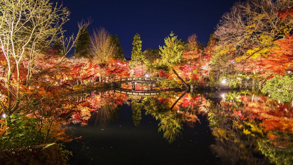 永觀堂夜楓