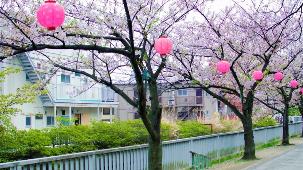 春季仙台堀川公園