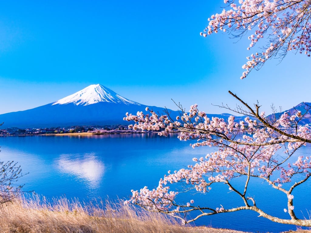 富士山河口湖