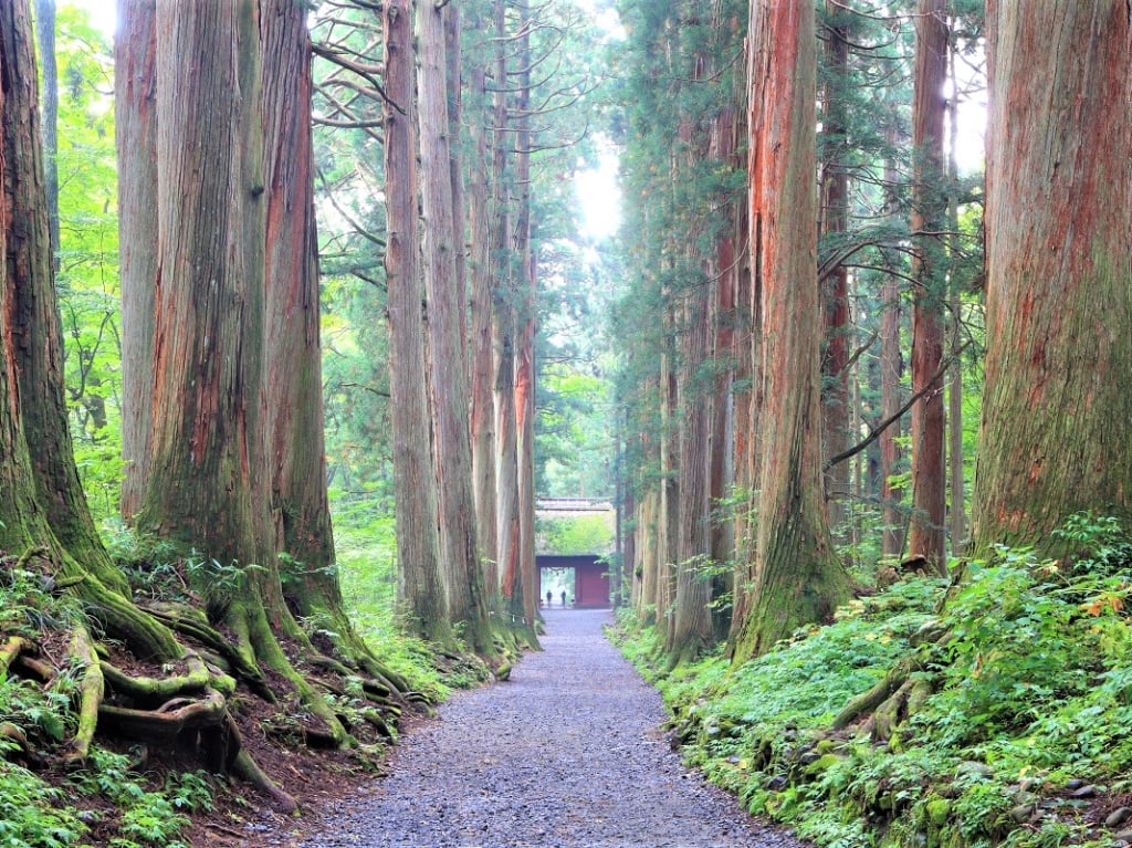 長野戶隱神社