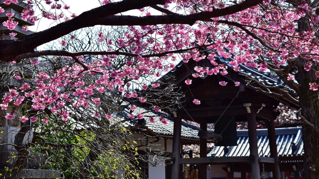 新井藥師公園