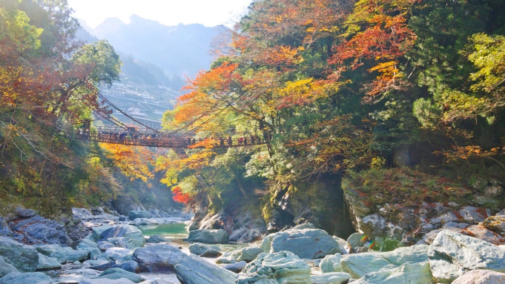 德島二日遊