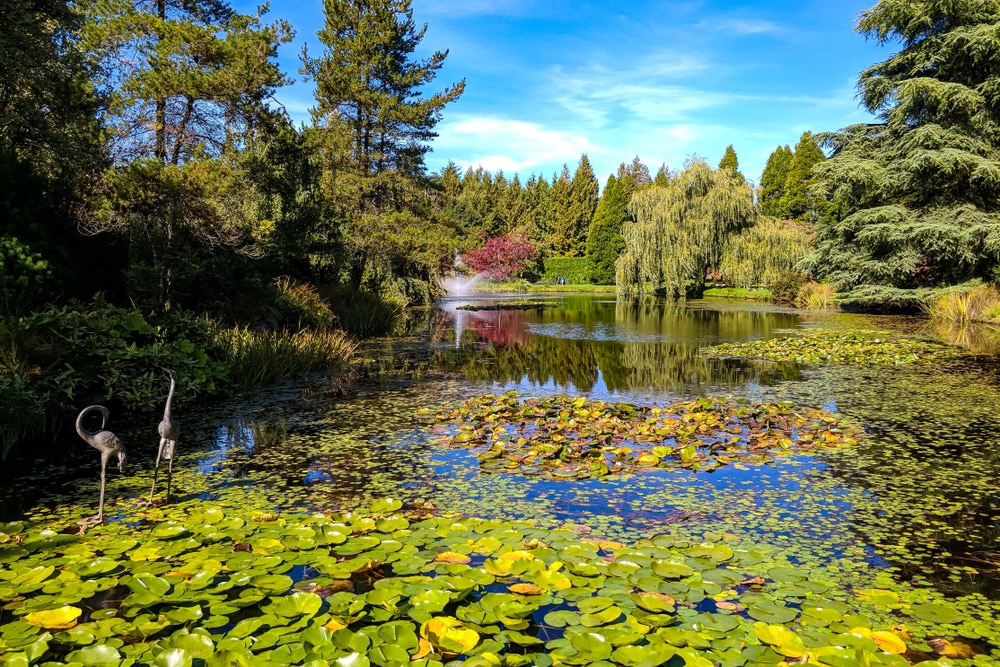 溫哥華范度森植物園（VanDusen Dotanical Garden）