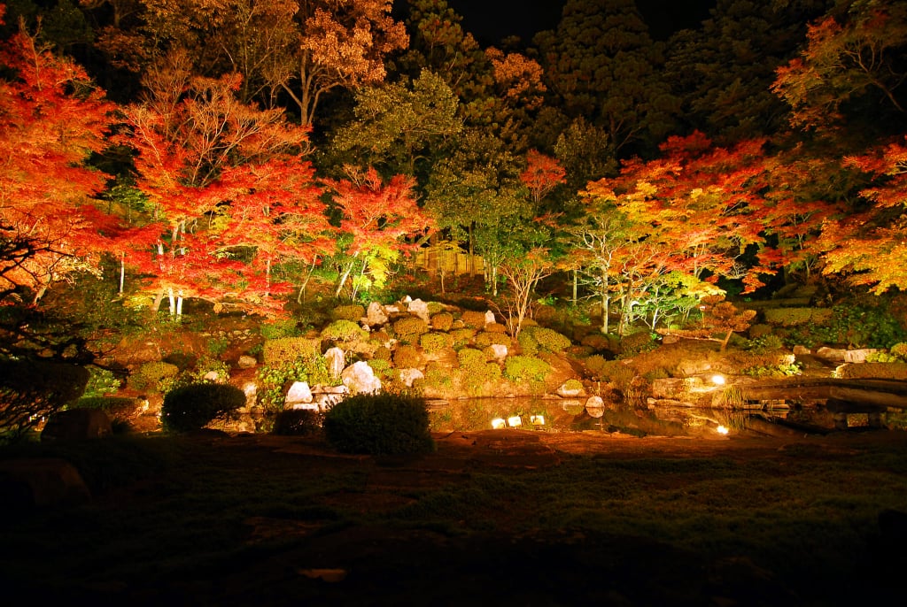 興禪寺庭園