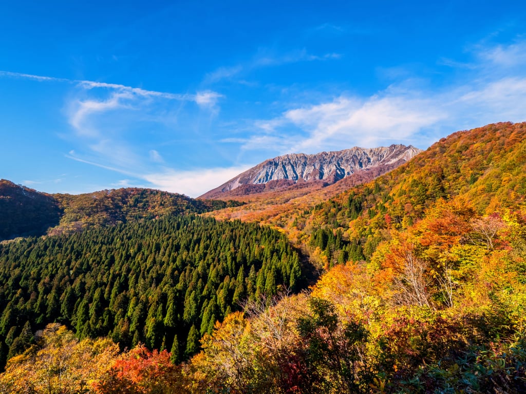 鳥取大山賞楓