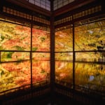 京都琉璃光院夜楓
