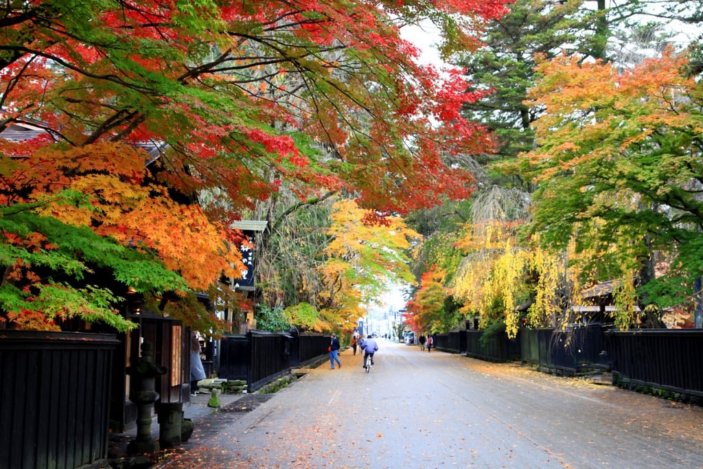 角館賞楓