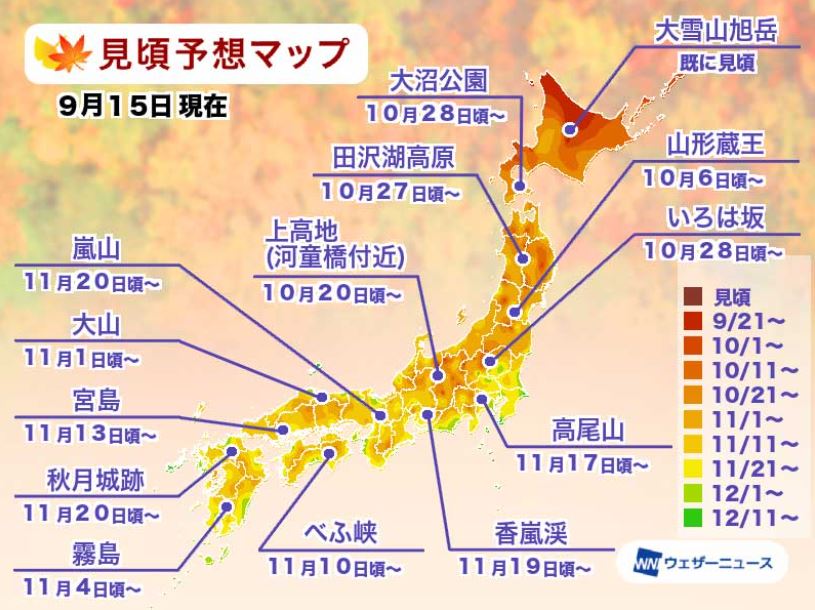 22年日本關東 關西最佳賞楓時期最新情報 Skyticket旅遊指南