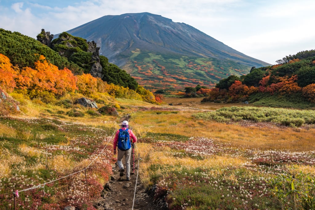 北海道旭岳楓紅