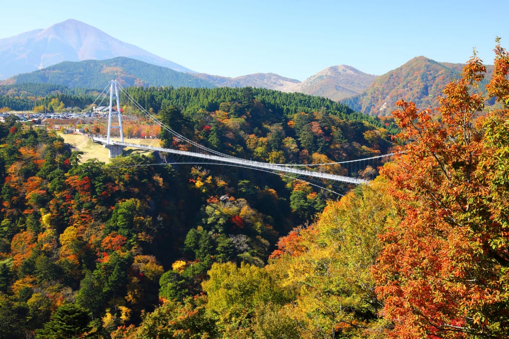 九重夢大吊橋