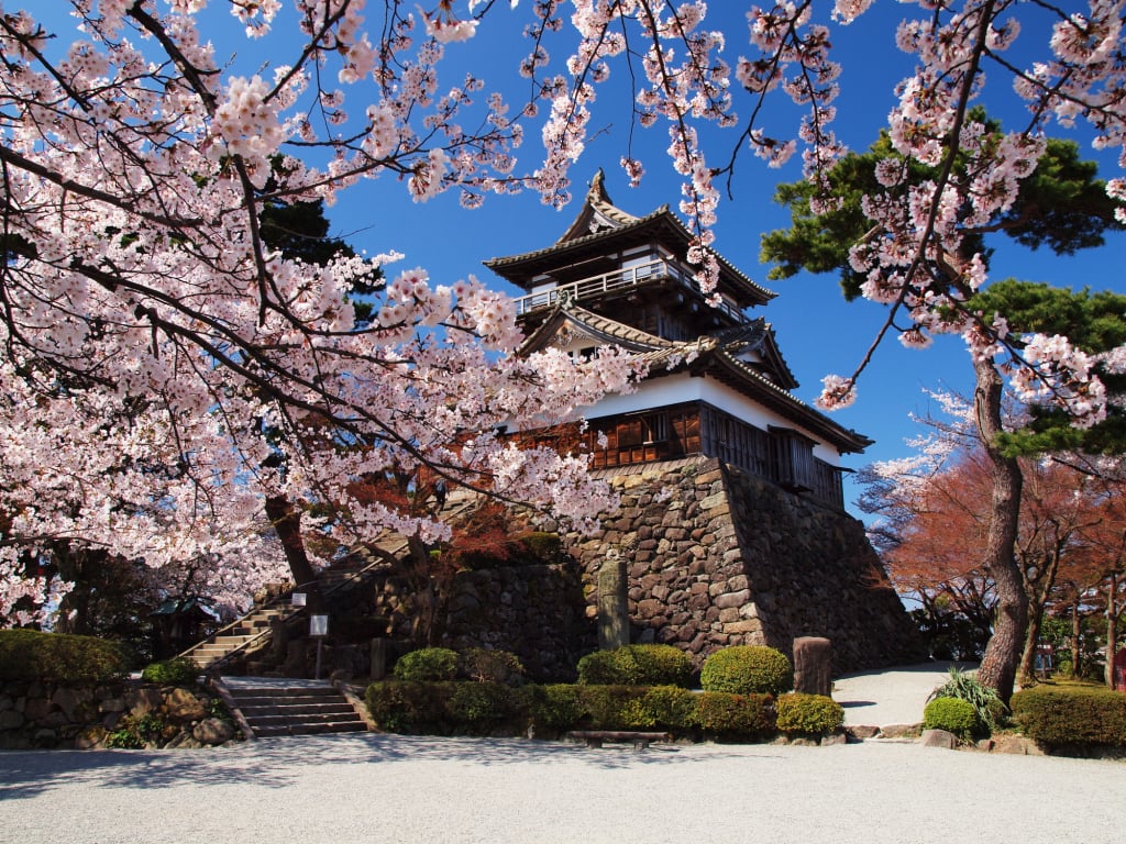 福井丸岡城霞城公園