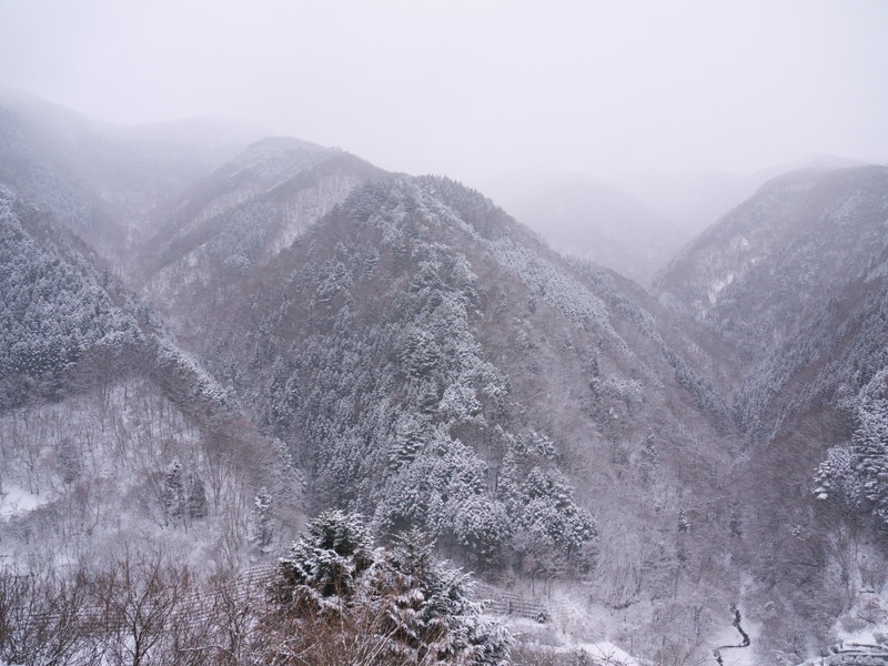 雲取山