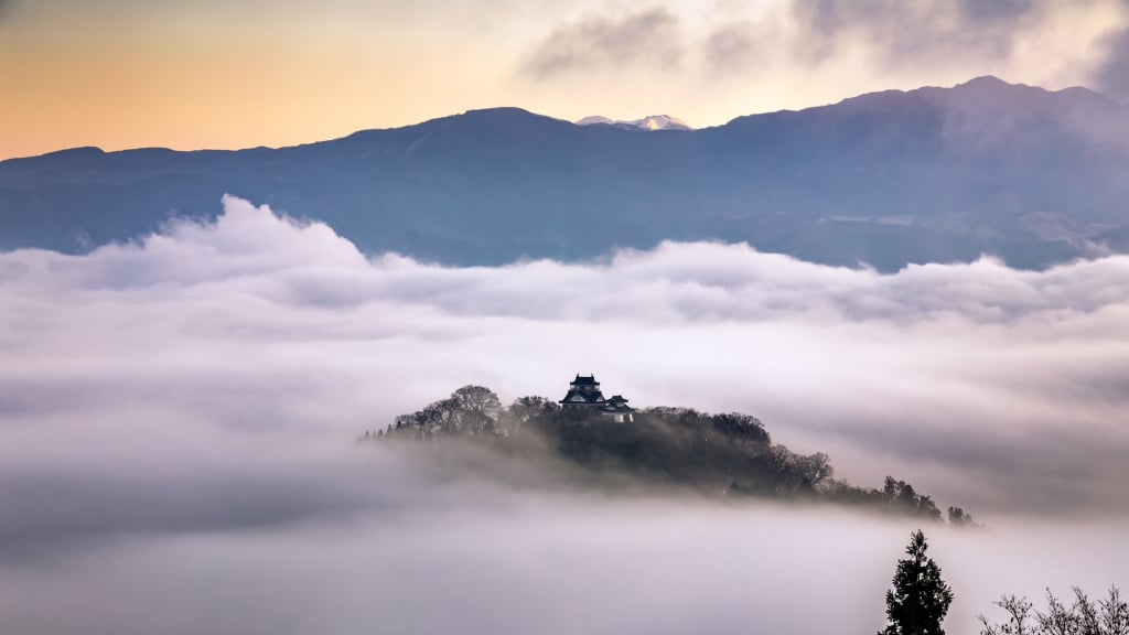 越前大野城