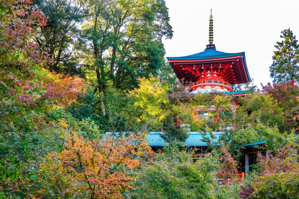 高野寺 紅葉祭