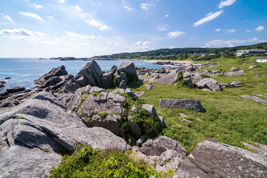 種差海岸風景