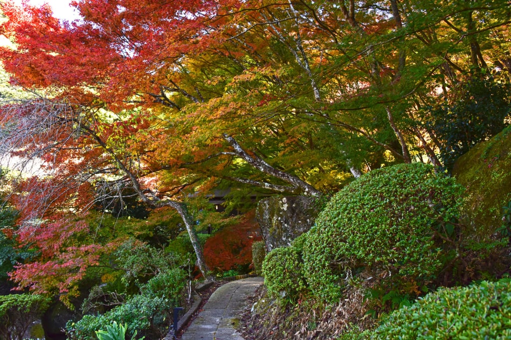 慧洲園 紅葉祭