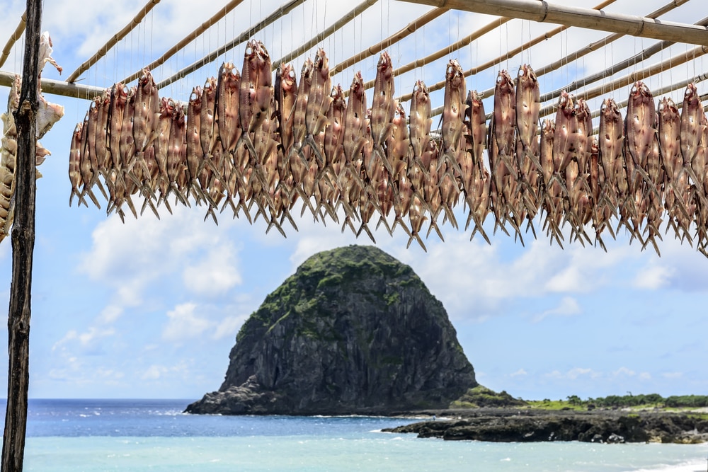 蘭嶼飛魚祭