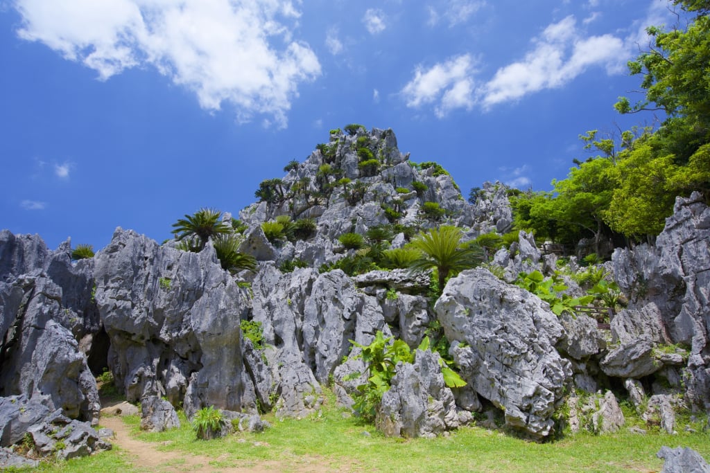 沖繩大石林山