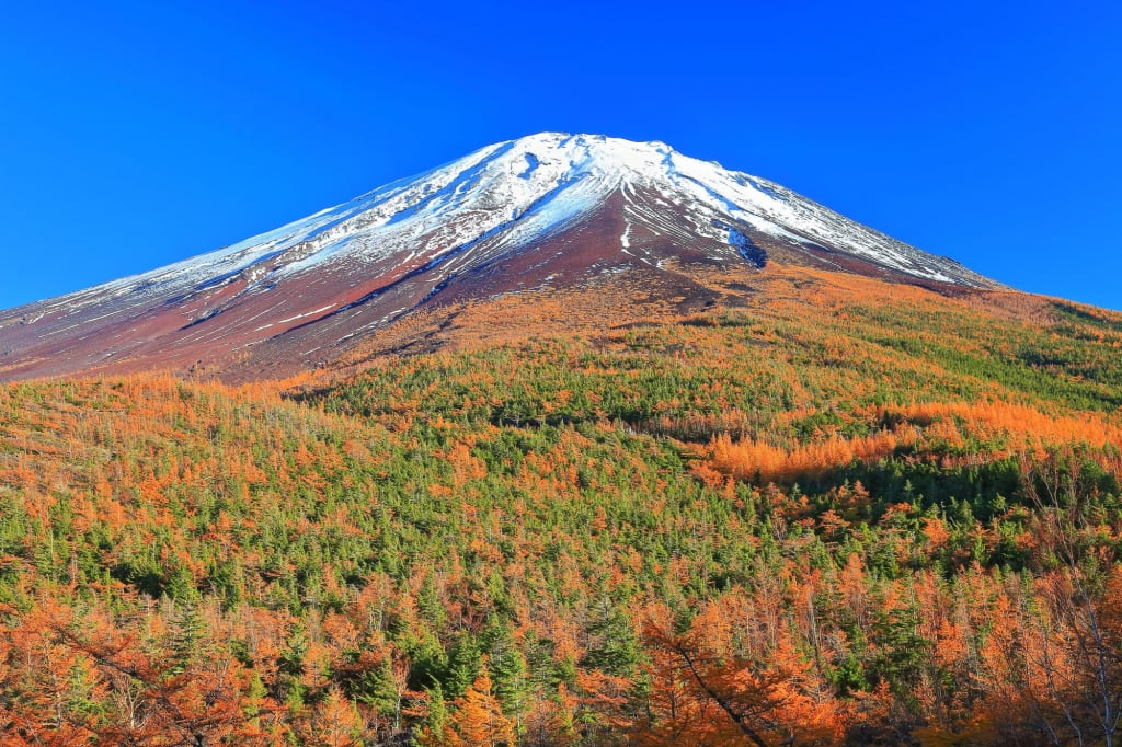 奥庭自然公園 富士山五合目 賞楓 富士山