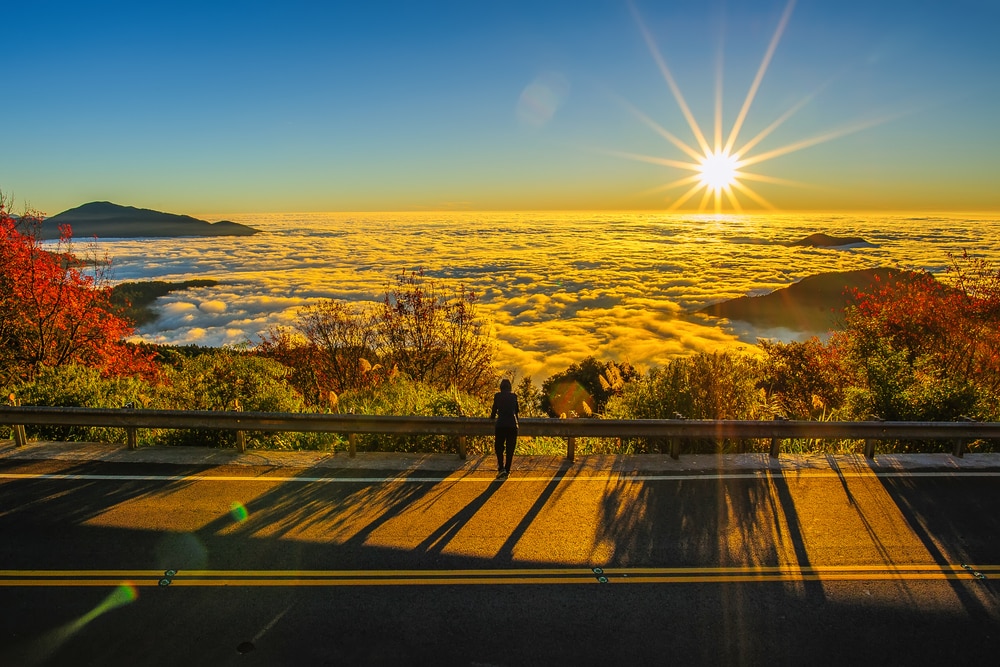 嘉義阿里山賞楓景點