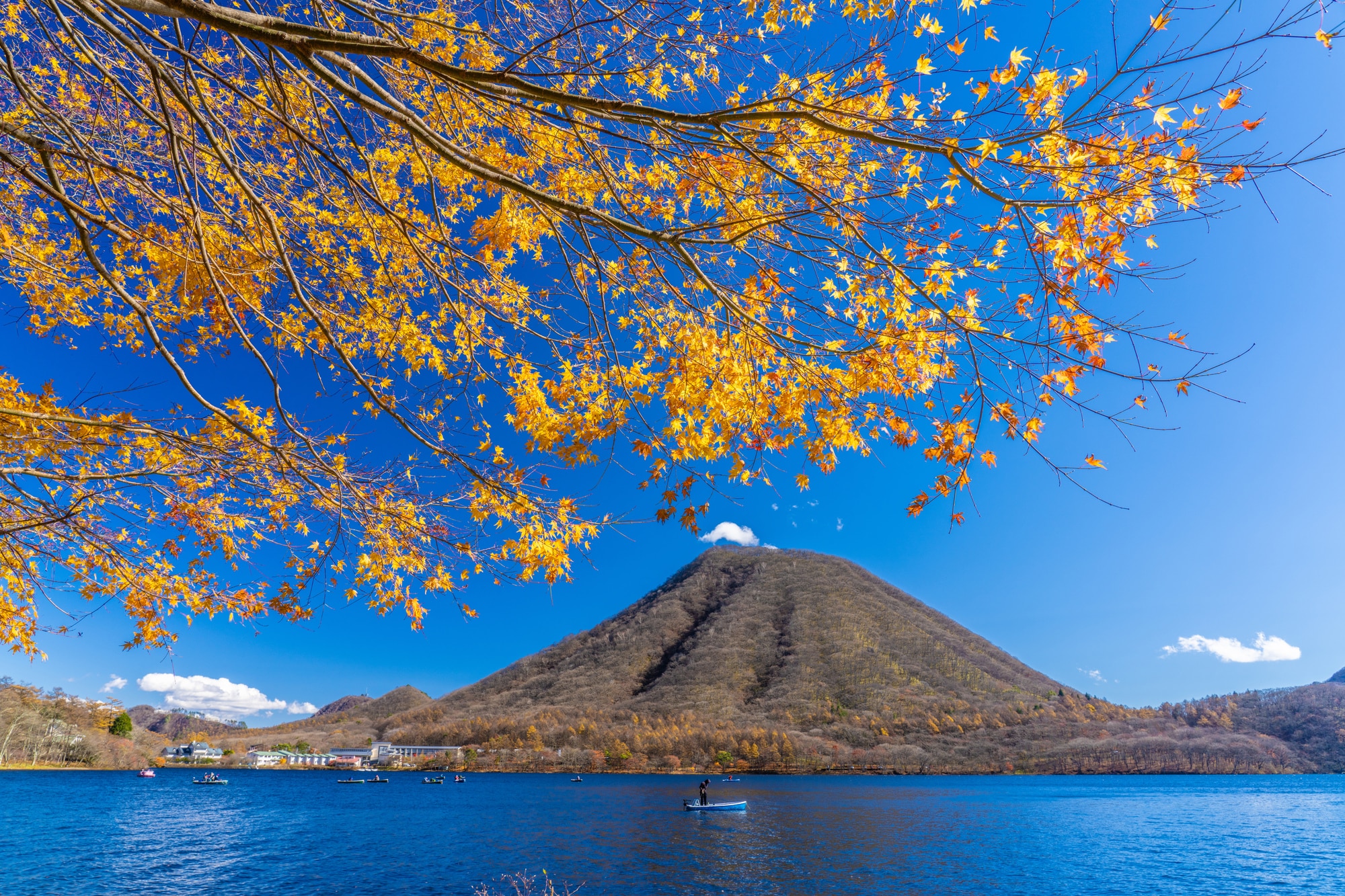 富士山不只一座 認識日本各地被稱為富士的美麗山岳 Skyticket旅遊指南