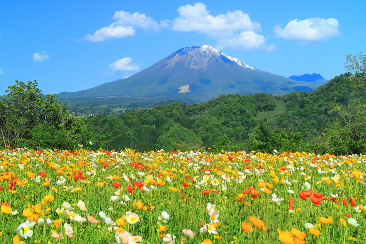 富士山不只一座 認識日本各地被稱為富士的美麗山岳 Skyticket旅遊指南