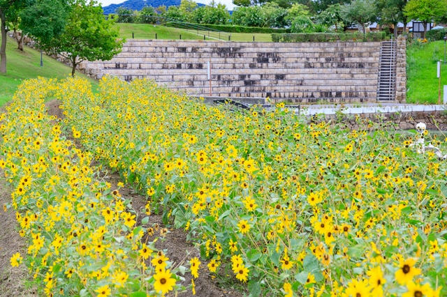 淡路農場公園 英格蘭之丘