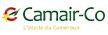 喀麥隆航空 ロゴ