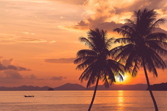 夏威夷群島